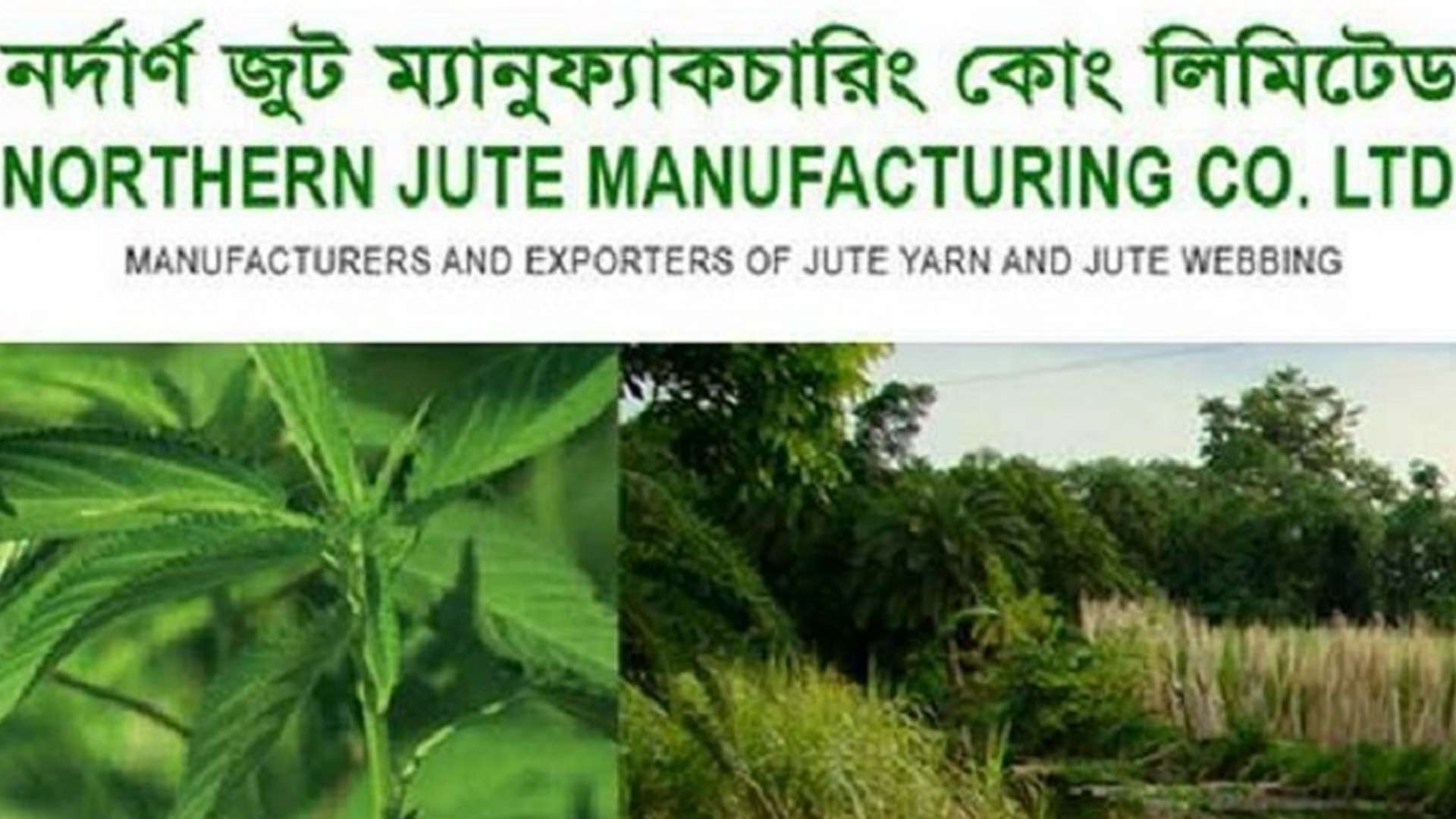 দর পতনের শীর্ষে নর্দার্ণ জুট ম্যানুফ্যাকচারিং