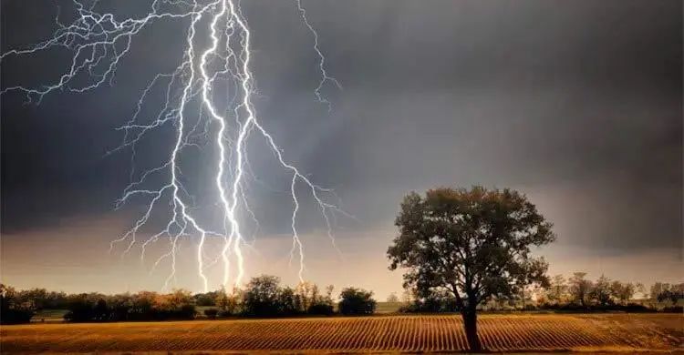 সুনামগঞ্জে বজ্রপাতে প্রাণ গেলো ৫ কৃষকের
